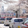 桜の踏切