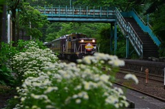 花とトロッコ列車