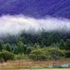 朝靄たなびく