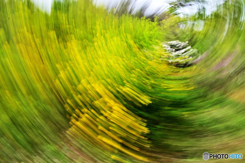 森の目