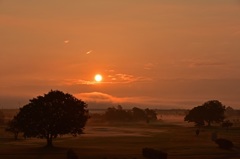 朝霧のゴルフ場