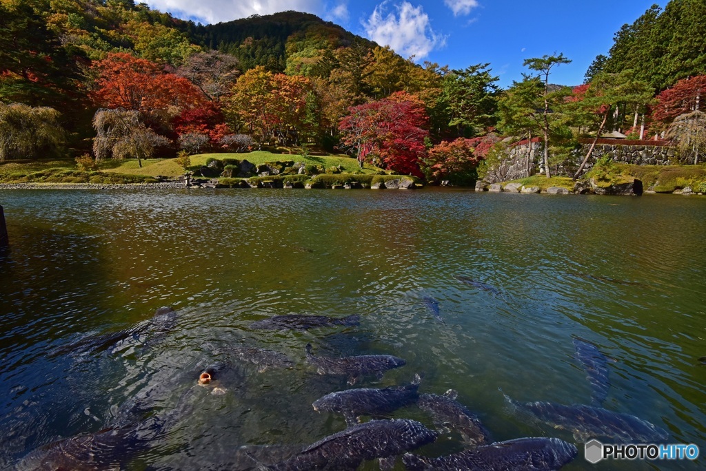 秋の峯の池