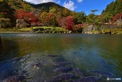 秋の峯の池