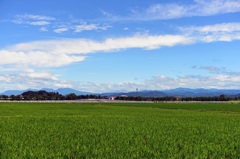 田園風景