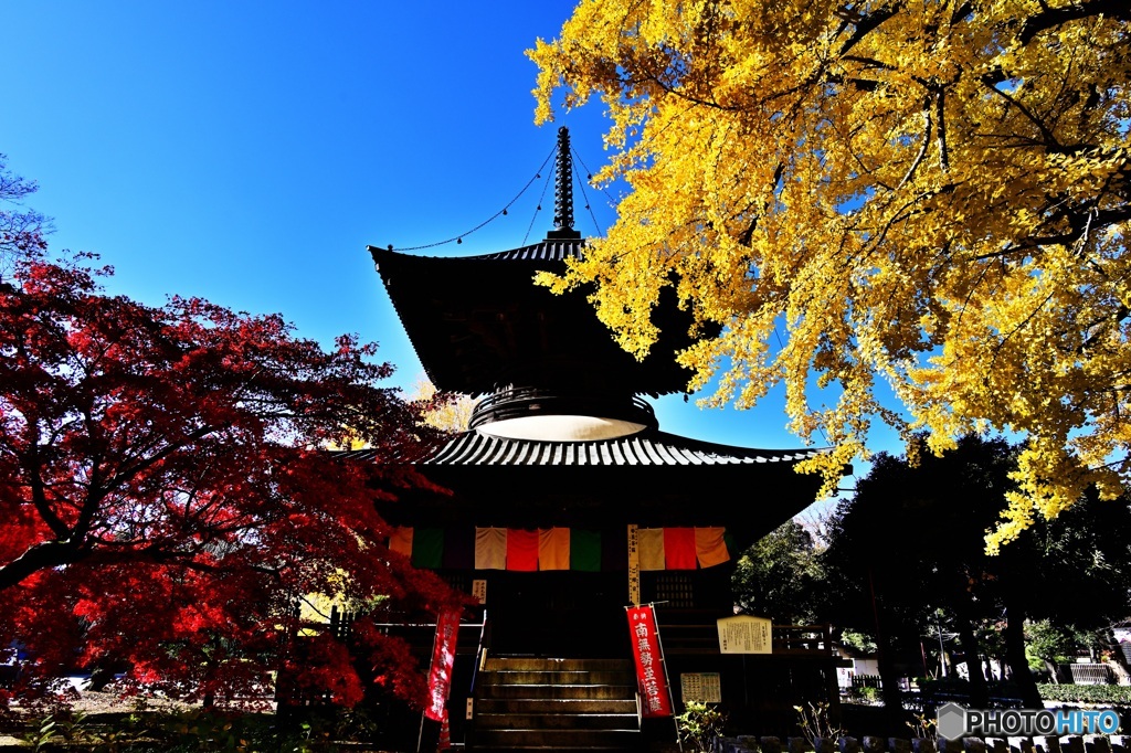 彩りの多宝塔