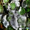 氷