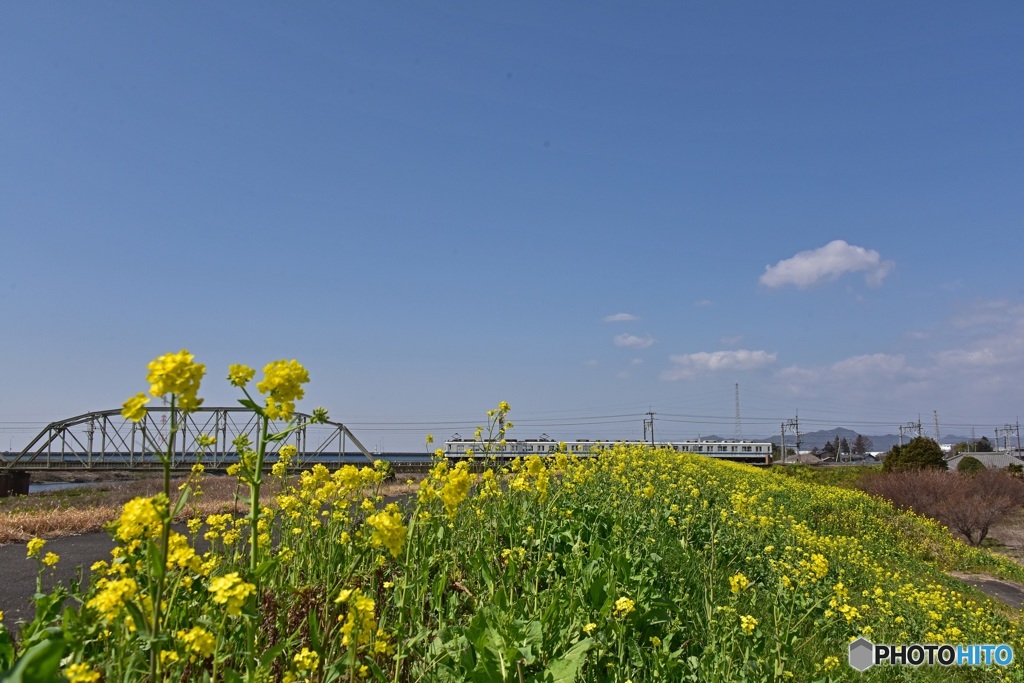 鉄橋を渡るぞと