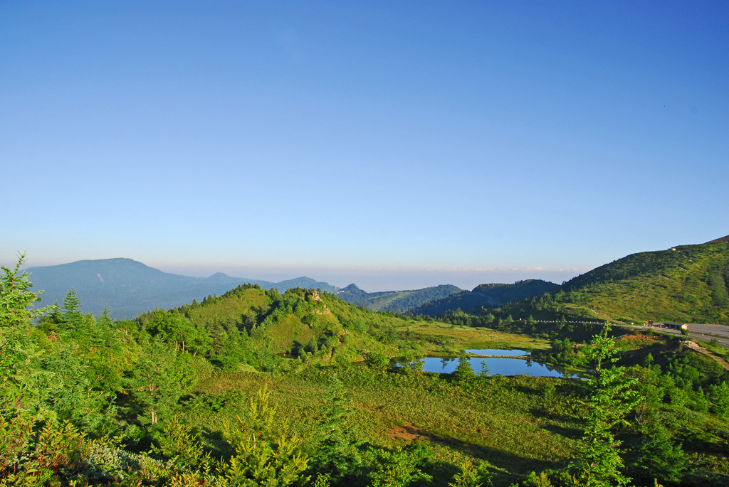 弓池湿原