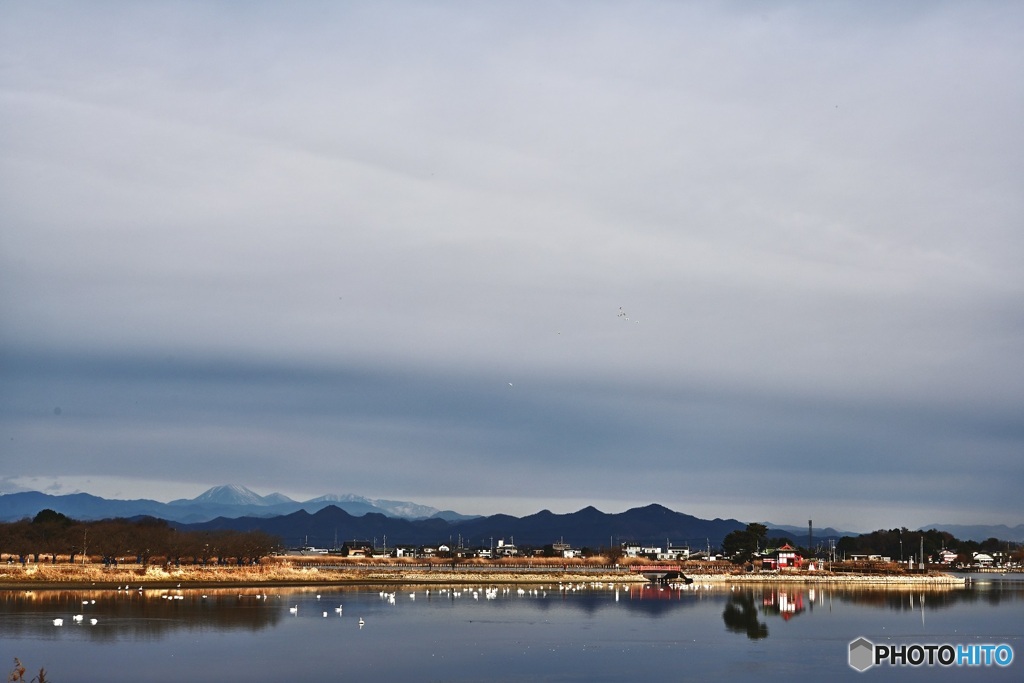 多々良沼情景