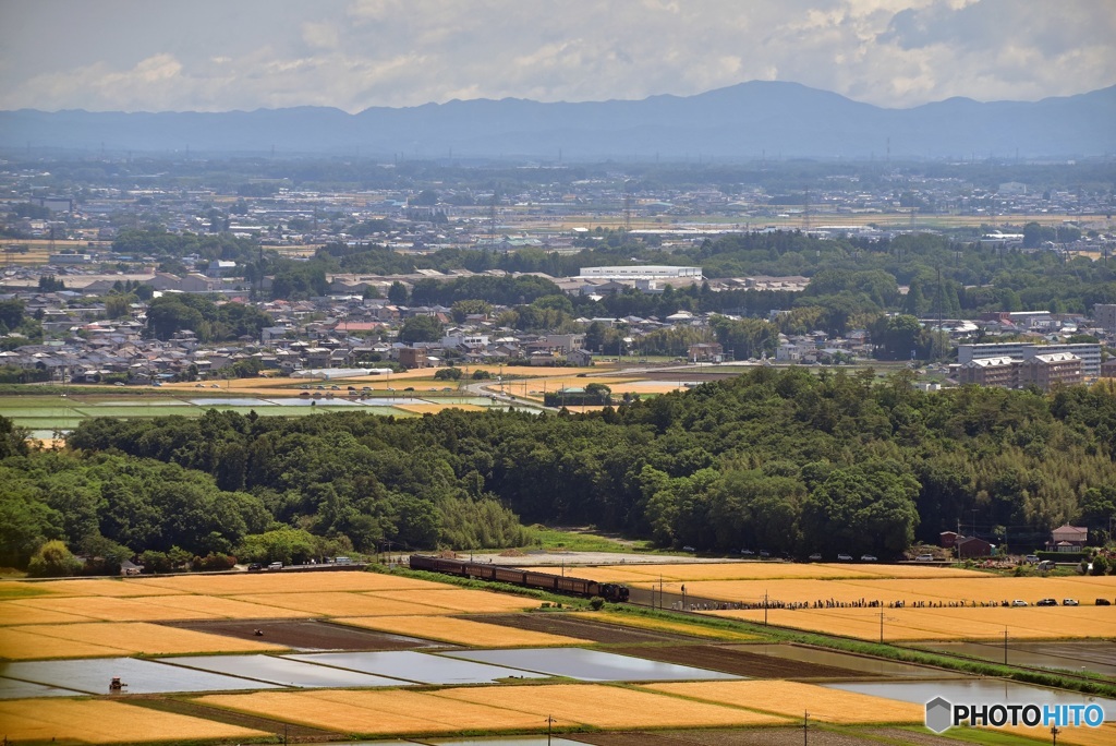 SLのある風景