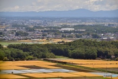 SLのある風景