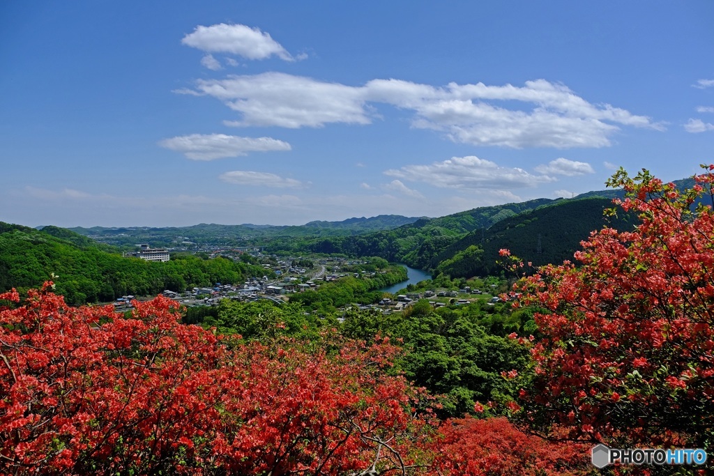 新緑の荒川