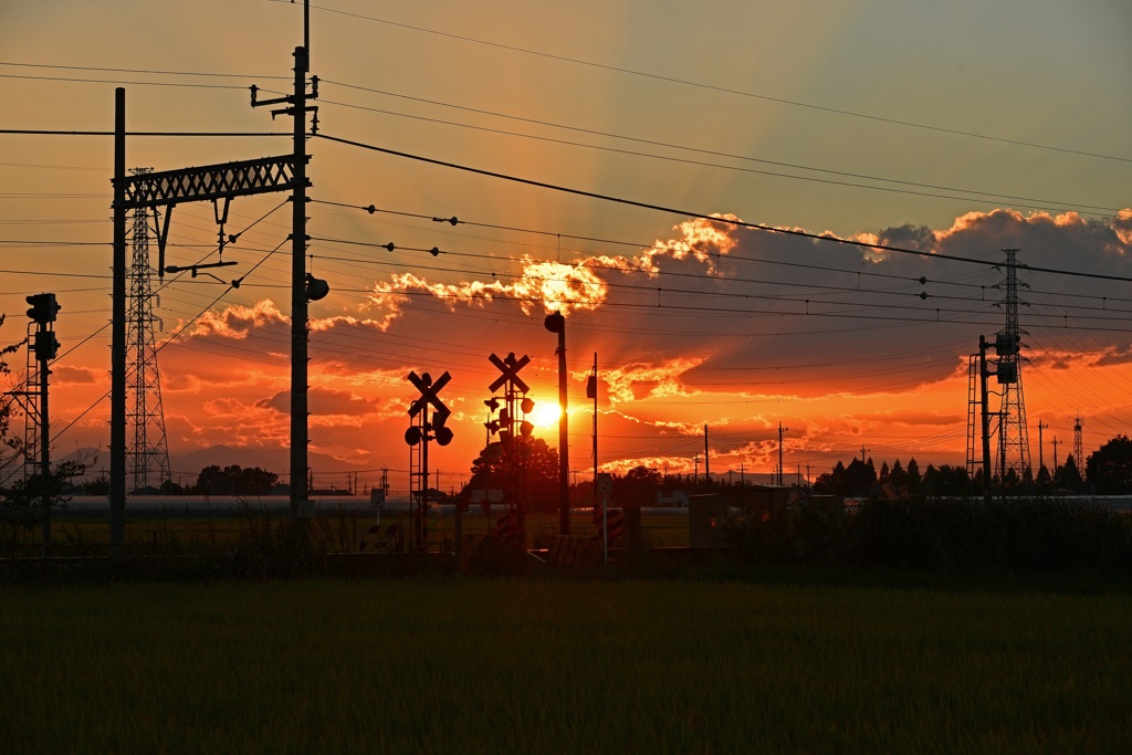 夕焼けの踏切