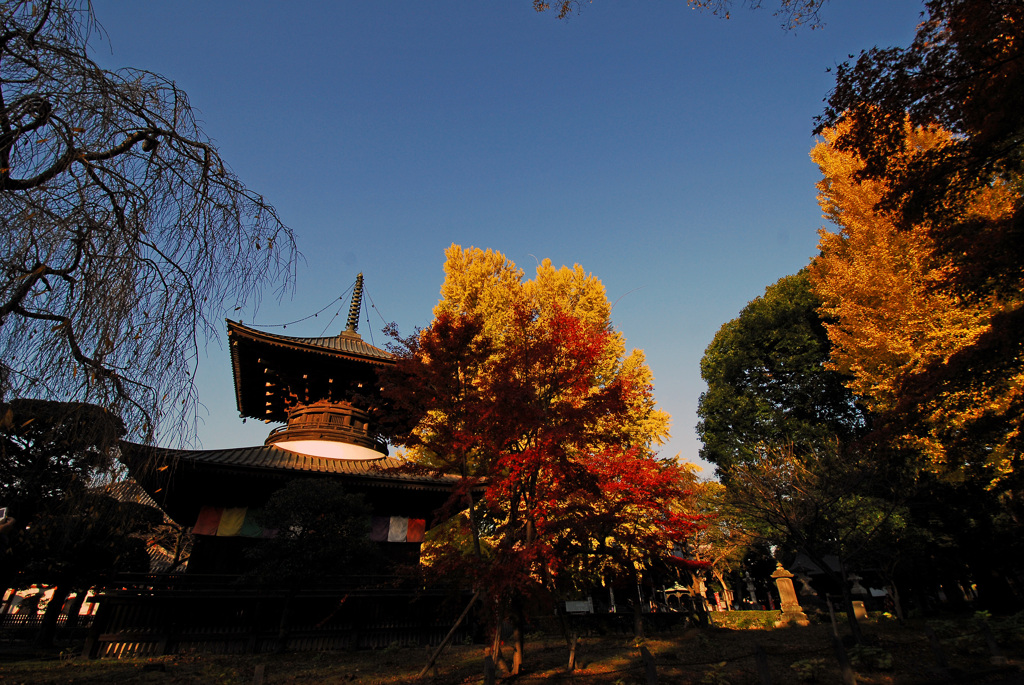 秋彩の古寺