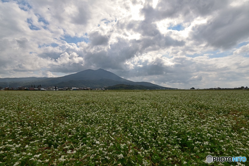蕎麦畑と筑波山