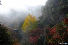 霧の浄因寺紅葉