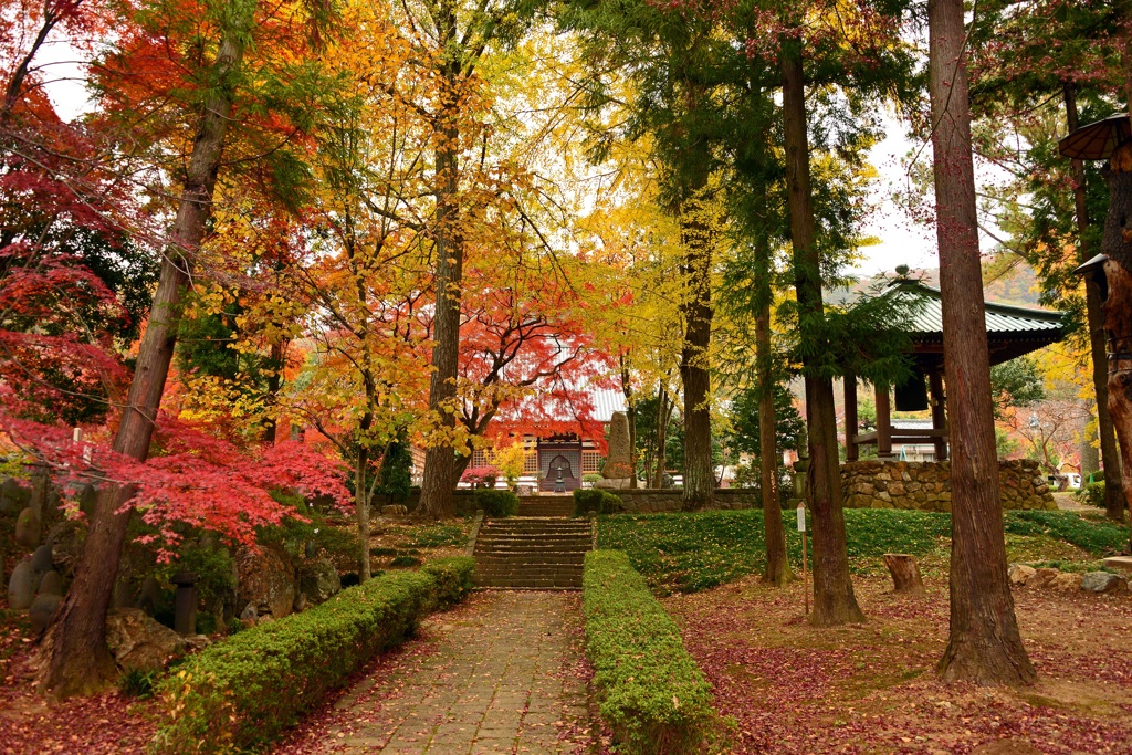 彩りの古寺