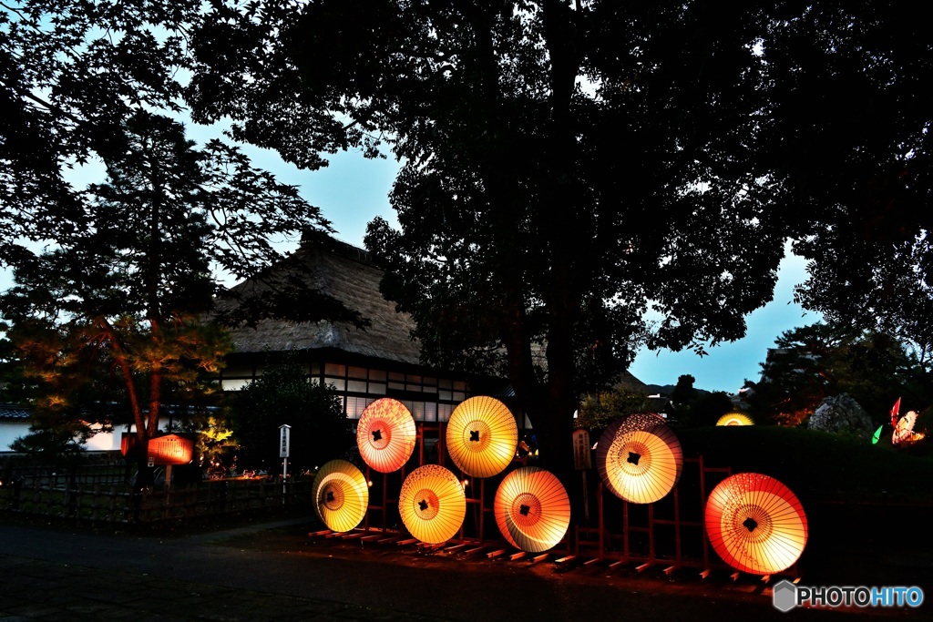 和傘ライトアップ