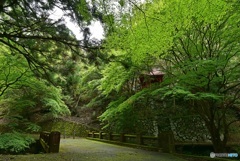 蓬莱山神社