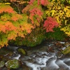 桐生川上流の紅葉