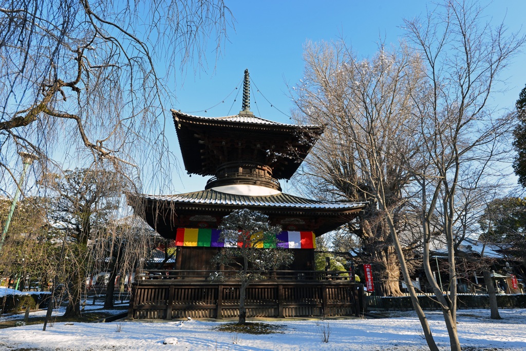 残雪の多宝塔