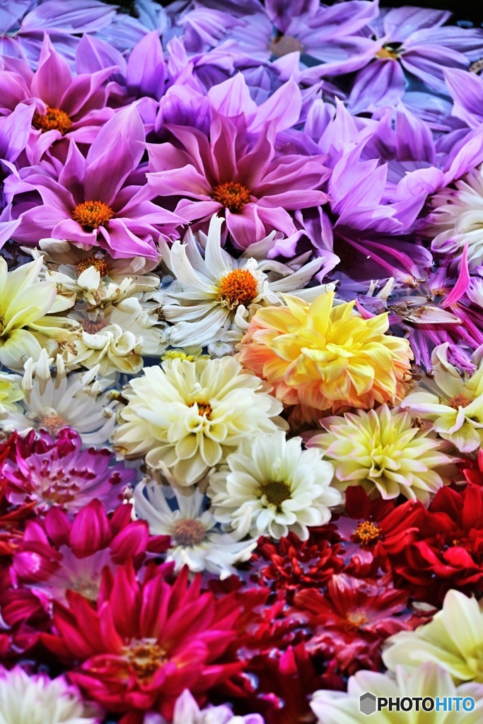 花手水