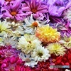 花手水