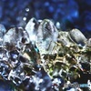 氷結