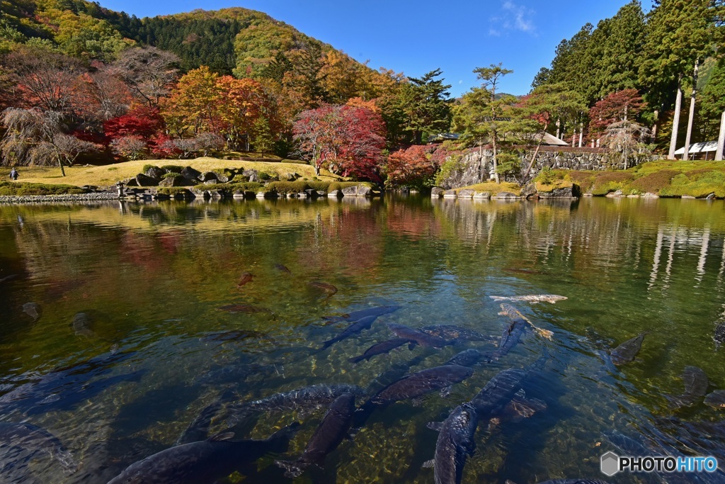 秋の古峯園