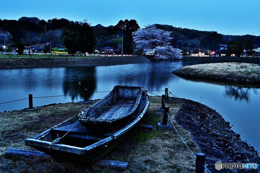 舟と夜桜