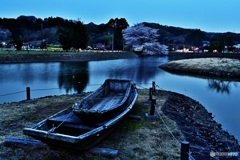 舟と夜桜