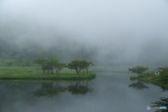 霧の覚満淵