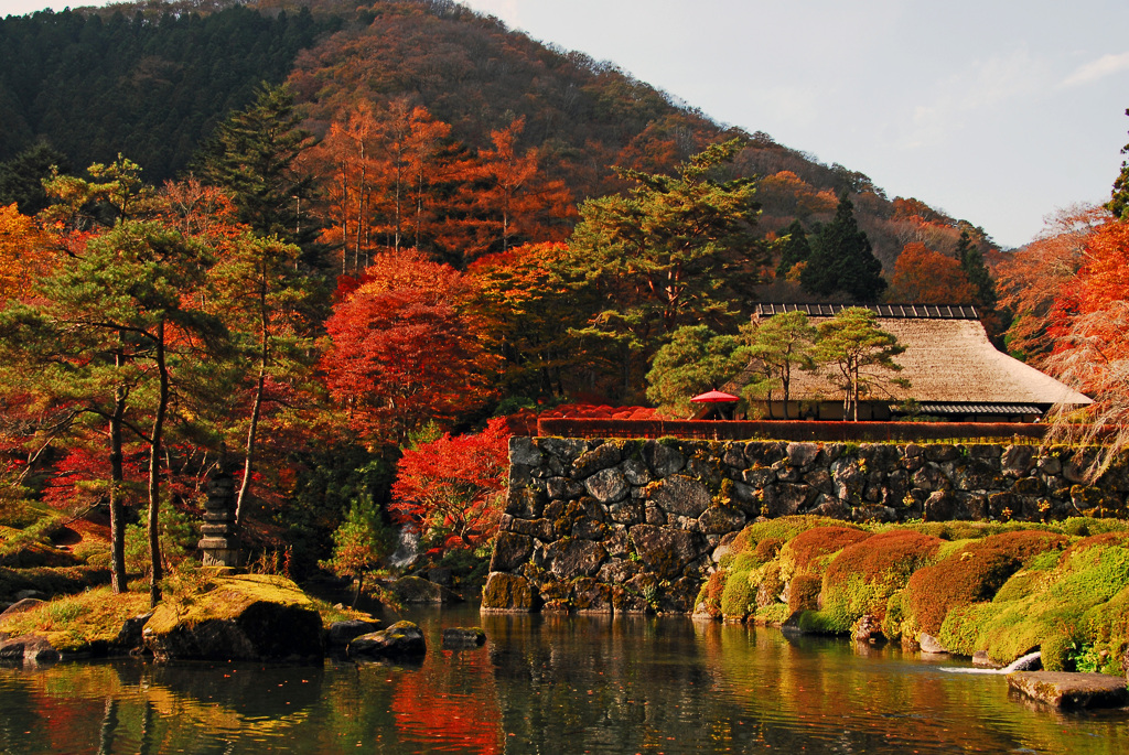 庭園の秋