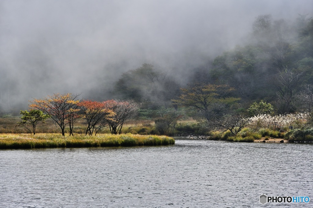 霧の覚満淵2