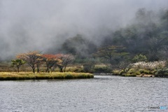 霧の覚満淵2