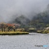 霧の覚満淵2