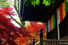 多宝塔と紅葉