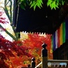 多宝塔と紅葉
