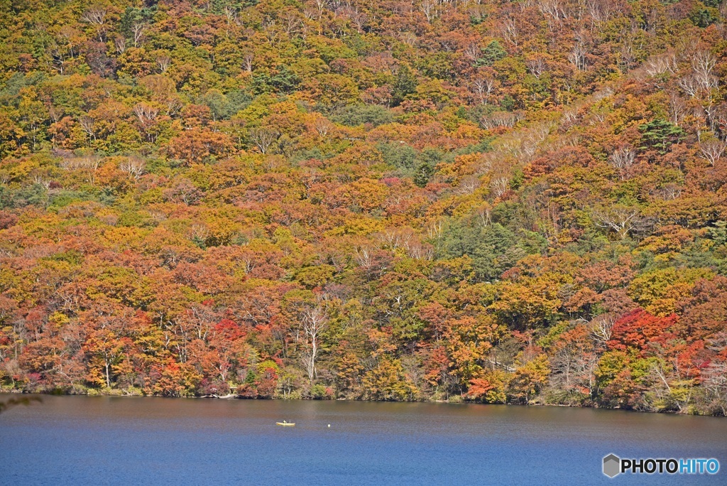 秋・湖面に遊ぶ