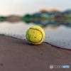 忘れ去られたテニスボール