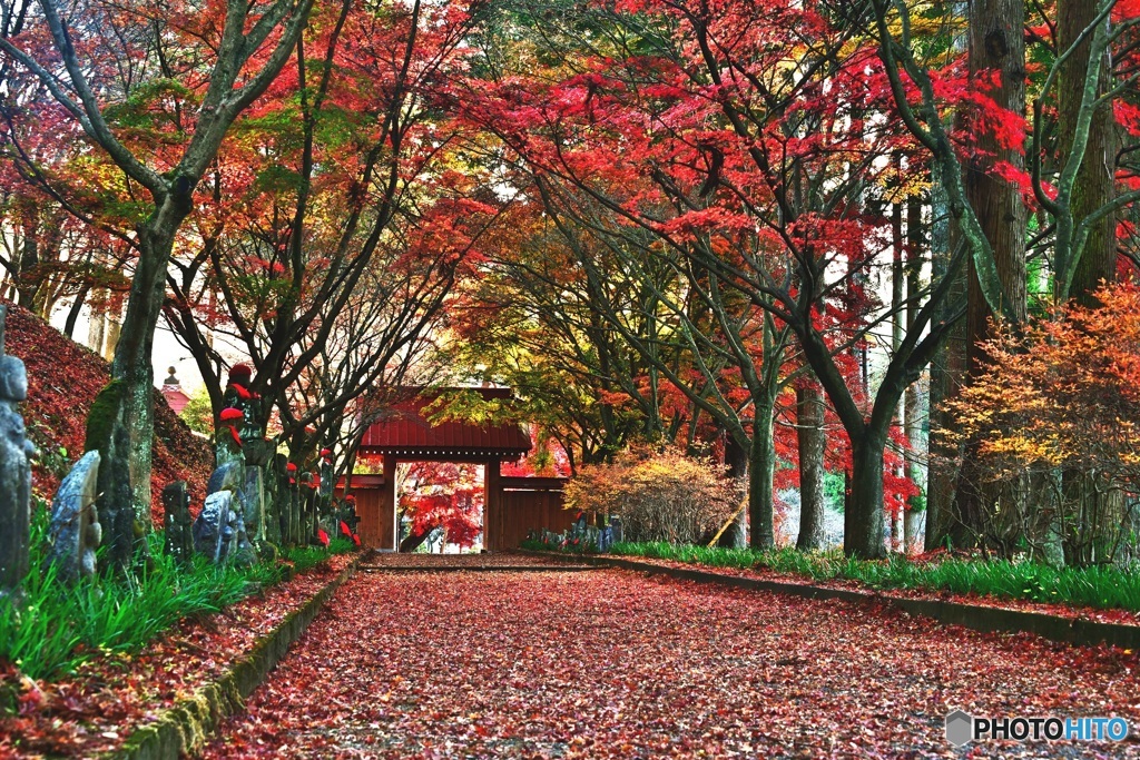 金蔵院山門