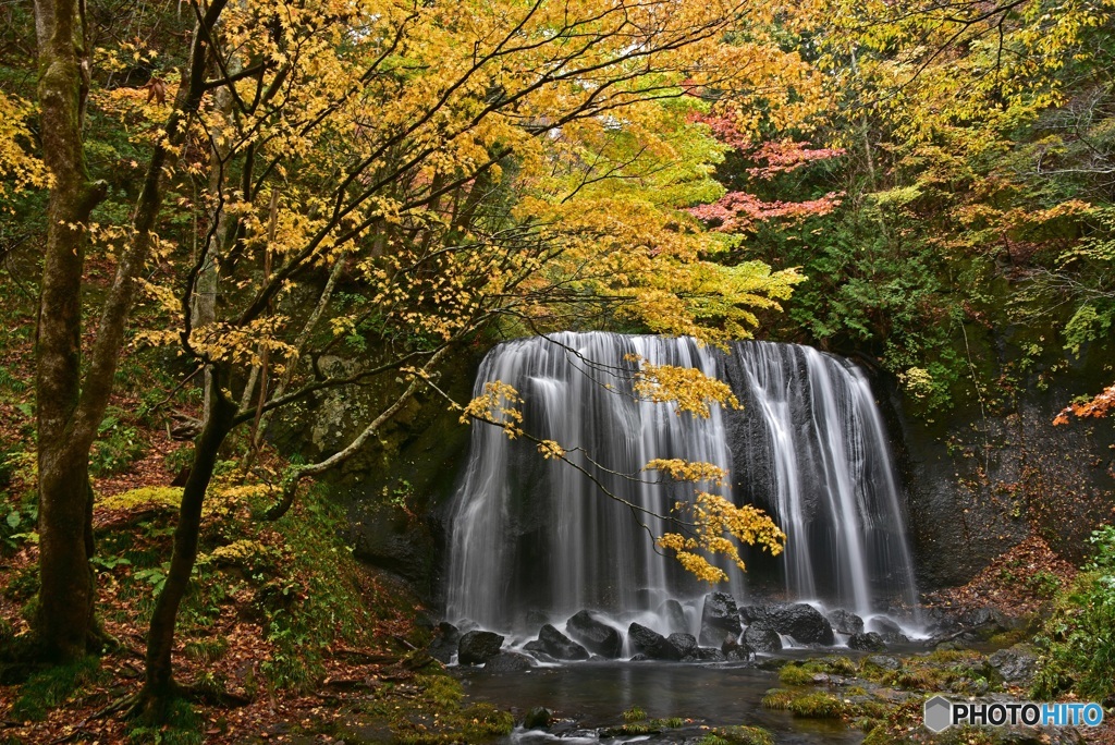 秋の達沢不動滝