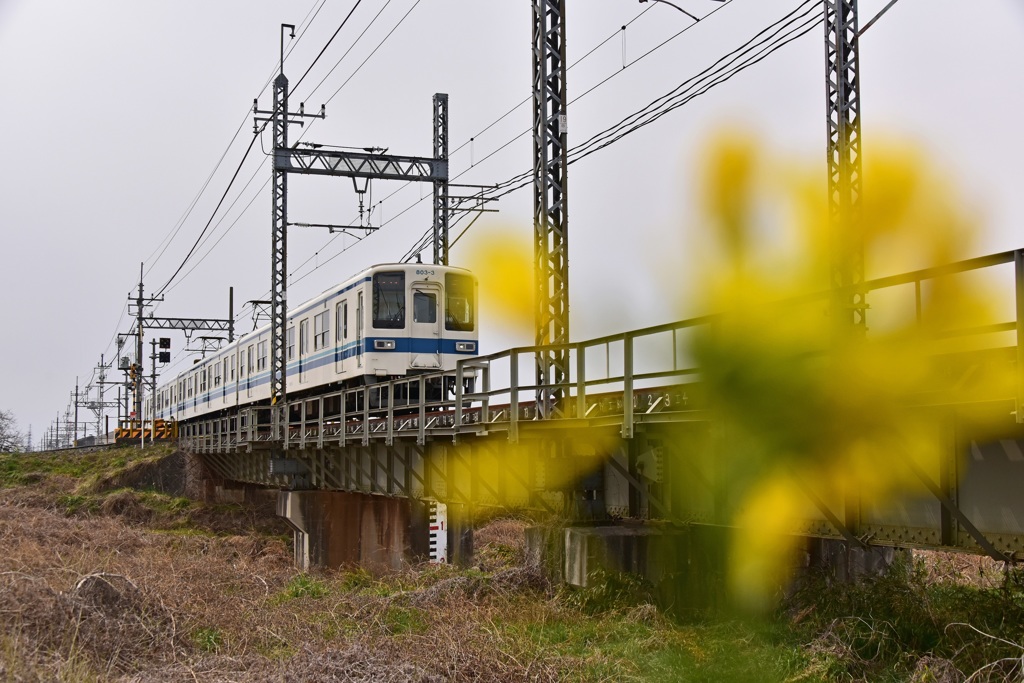 春列車