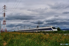 カルピスExpress