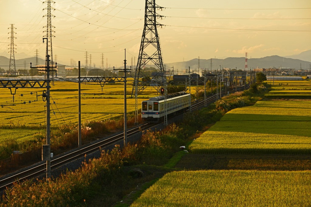 田園の中