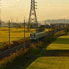 田園の中