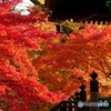 紅葉の境内