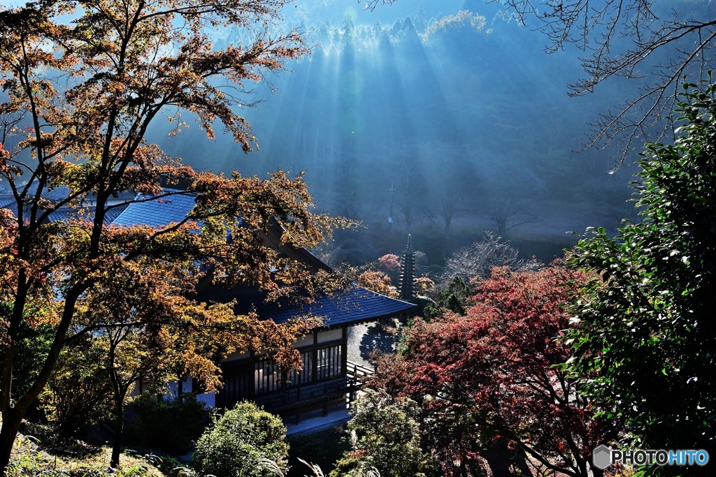 朝の光降る