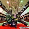 ひな飾り会場