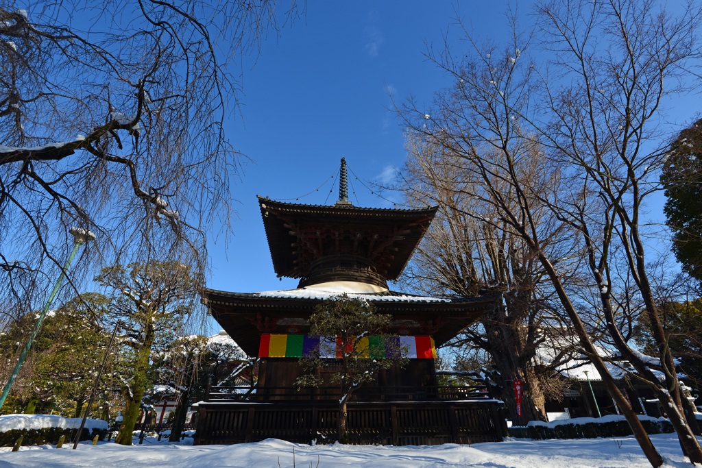 雪の多宝塔